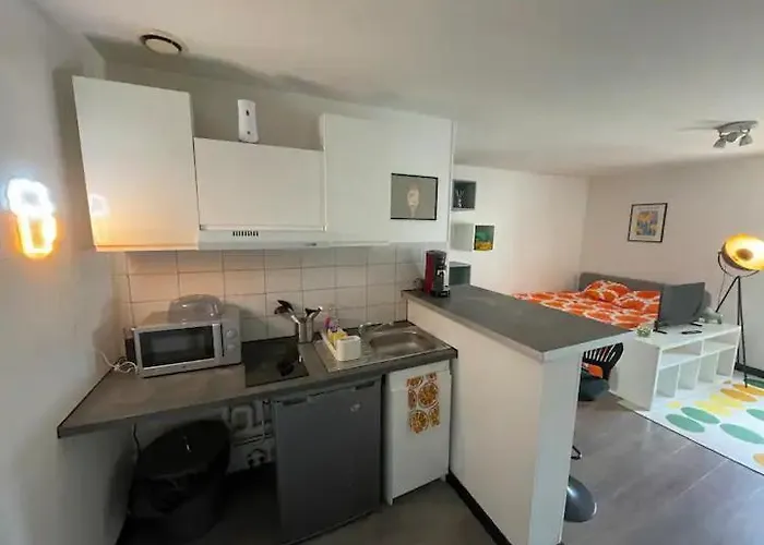 Proche Fac Et Centre Daire Dijon