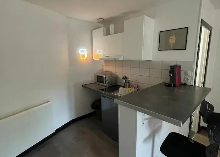 Daire Proche Fac Et Centre Dijon